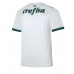 Palmeiras Replica Away Shirt 2023-24 Short Sleeve